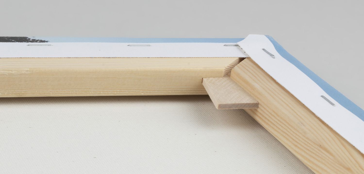 Canvas Frame